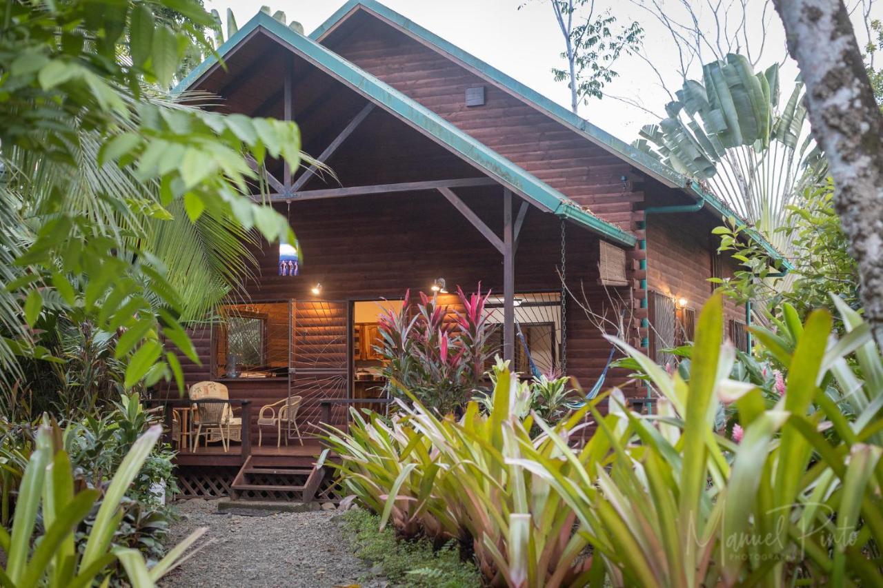 Casa Ylang In Black Sand Beach Villa Puerto Viejo de Talamanca Eksteriør billede